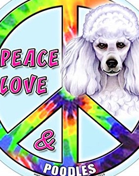 Hippie Poodle